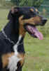 Lino